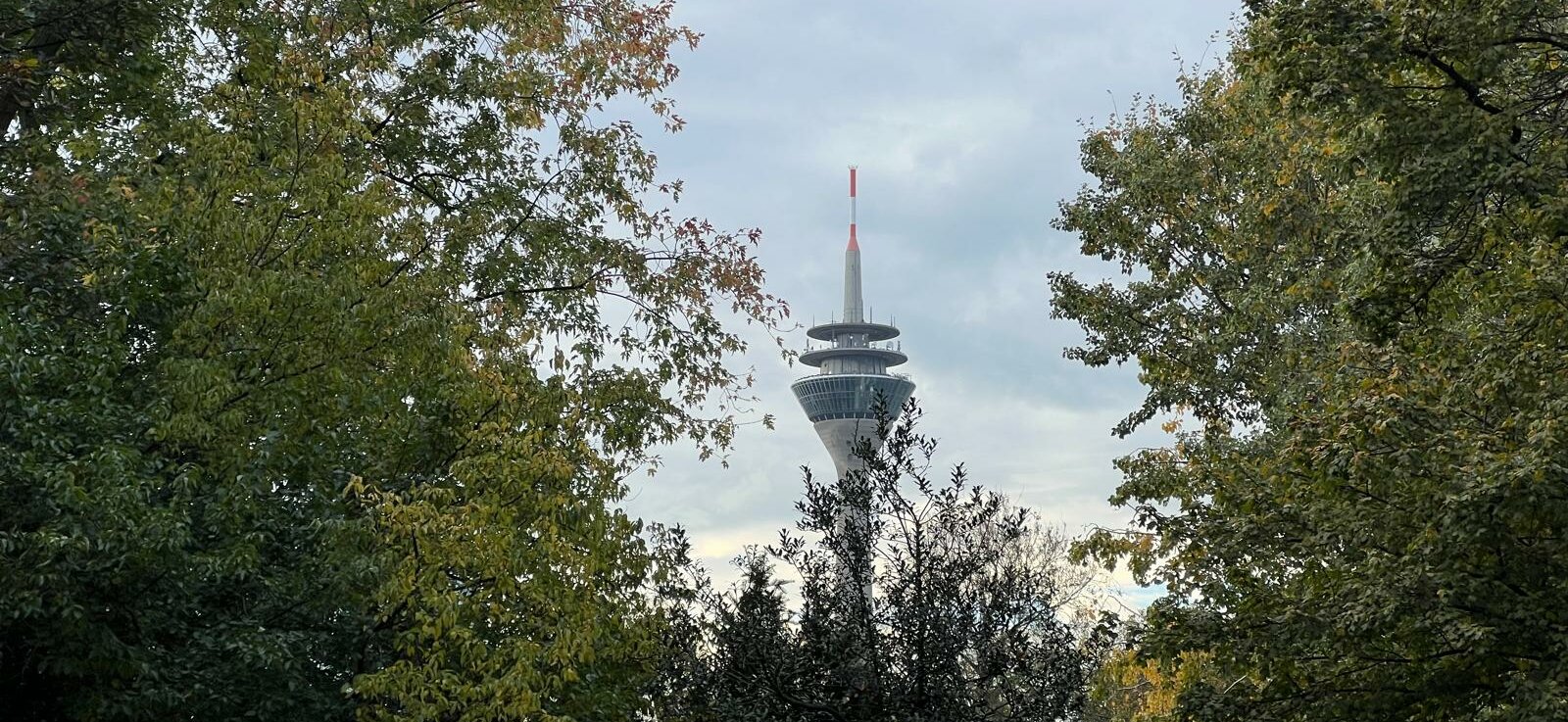 Der Rheinturm in Düsseldorf. (Foto: Valeska Ridzewski) Auf dem Bild ist der Rheinturm in Düsseldorf zu sehen..