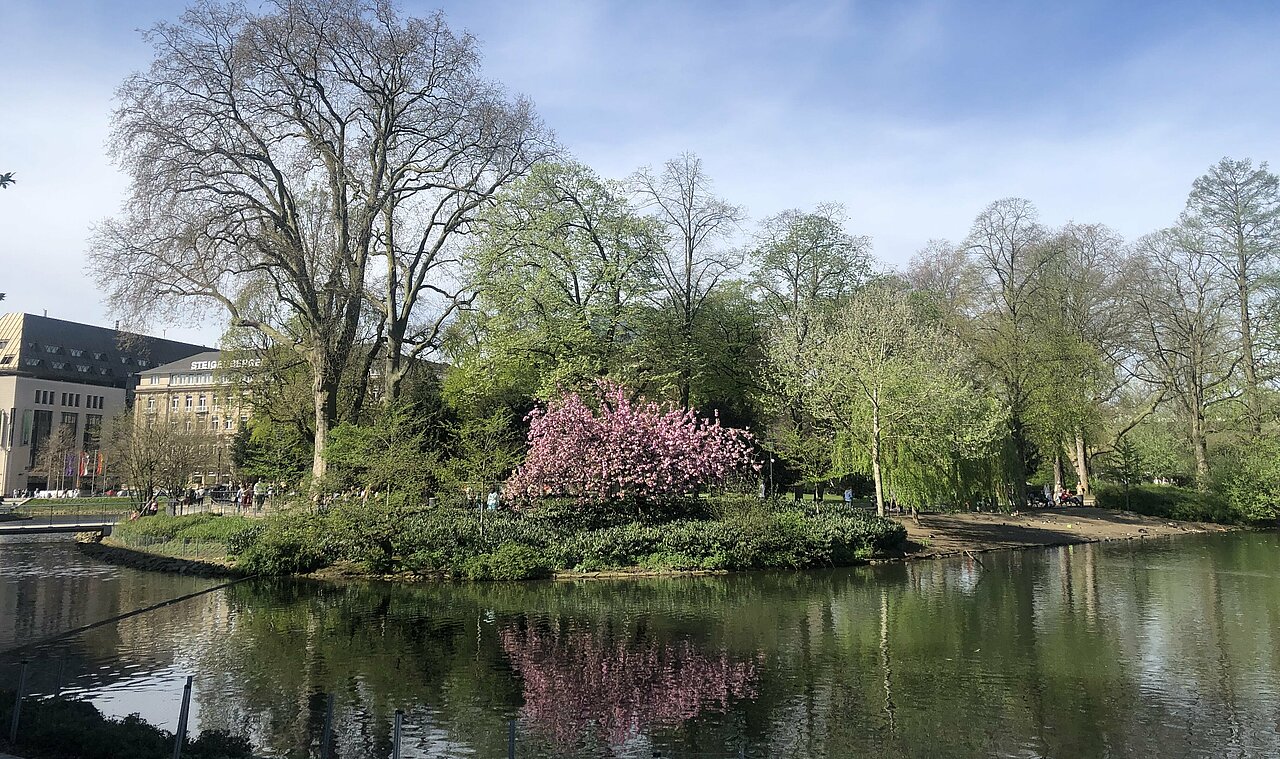 Auf dem Bild ist ein See und ein Park in der Düsseldorfer Innenstadt zu sehen.