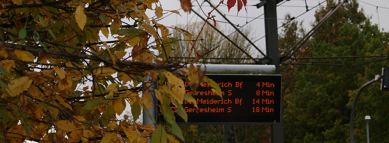 Die Anzeigetafel an der Haltestelle Uni Ost/Botanischer Garten im Herbst