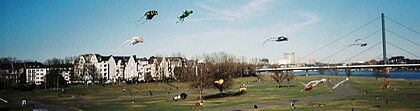 Auf dem Bild sieht man Drachen, die auf der Rheinseite fliegen und Menschen, die darunter stehen und die Leine der Drachen halten.