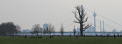 Auf dem Bild sieht man das Rheinfuer von Düsseldorf bei gutem Wetter. Im Hintergrund sieht man die mit dem Rheinturm Skyline