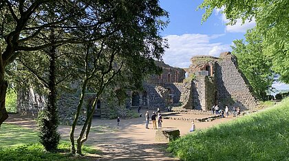 Hier sieht man die Burgruine von der Kaiserpfalz bei schönem Wetter.
