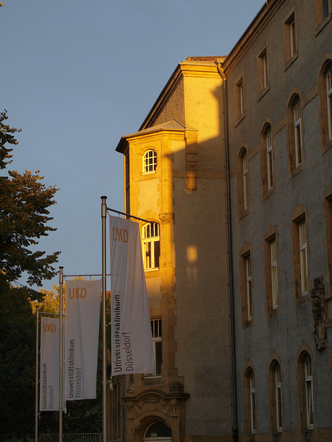 Das Universitätsklinikum in Goldenem Licht