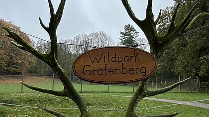 Schild von dem Wildpark im Grafenberger Wald auf einem Geweih (Foto: Anja Händel)