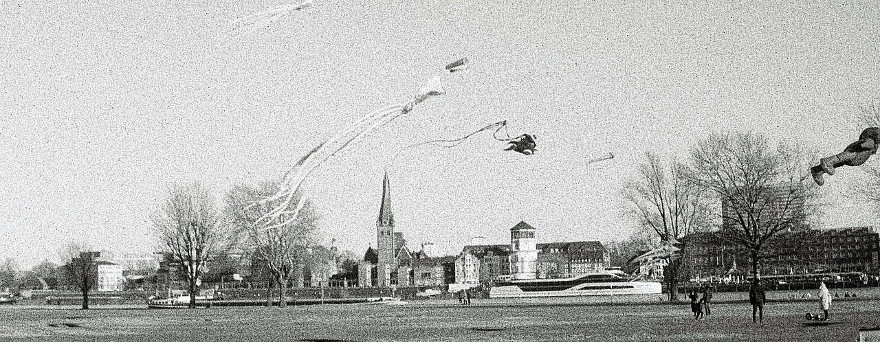 Ballons auf der anderen Rheinseite in Düsseldorf (Foto: Michelle Pieczyk)